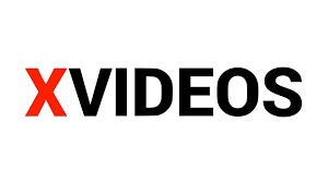 Soluciones de descarga de Xvideos: Top 5 Xvideos Descargers