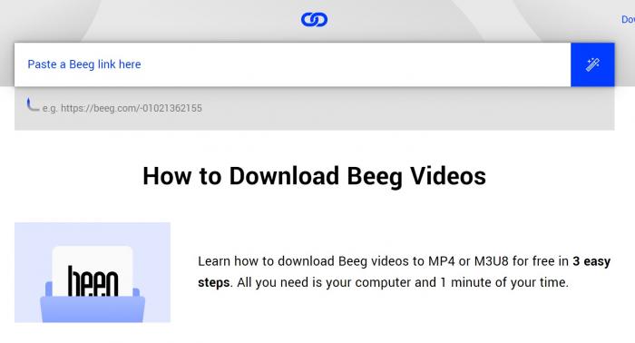 Best Beeg Downloader Software Recommendation