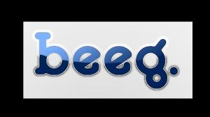 Melhor recomendação de software de download de Beeg Beeg